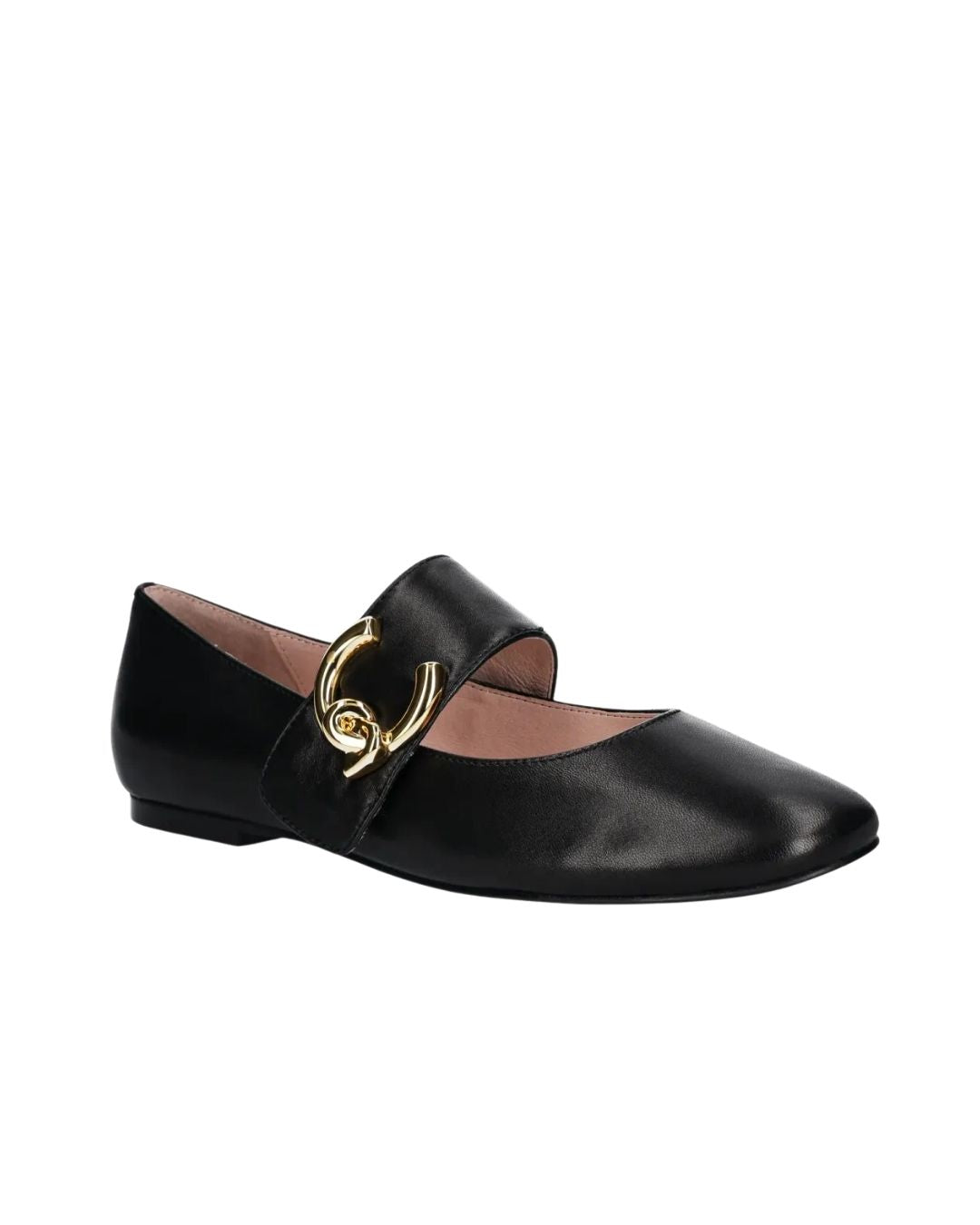 Scarpe - Ballerine - Coccinelle
