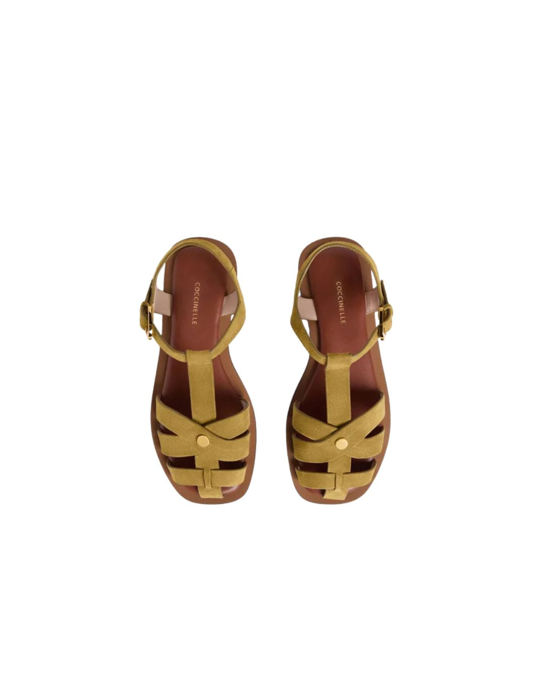 Scarpe - Sandali - Coccinelle